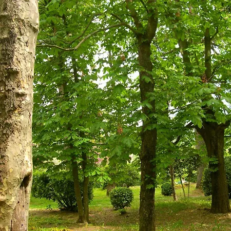 Domaine Du Parais Соспель